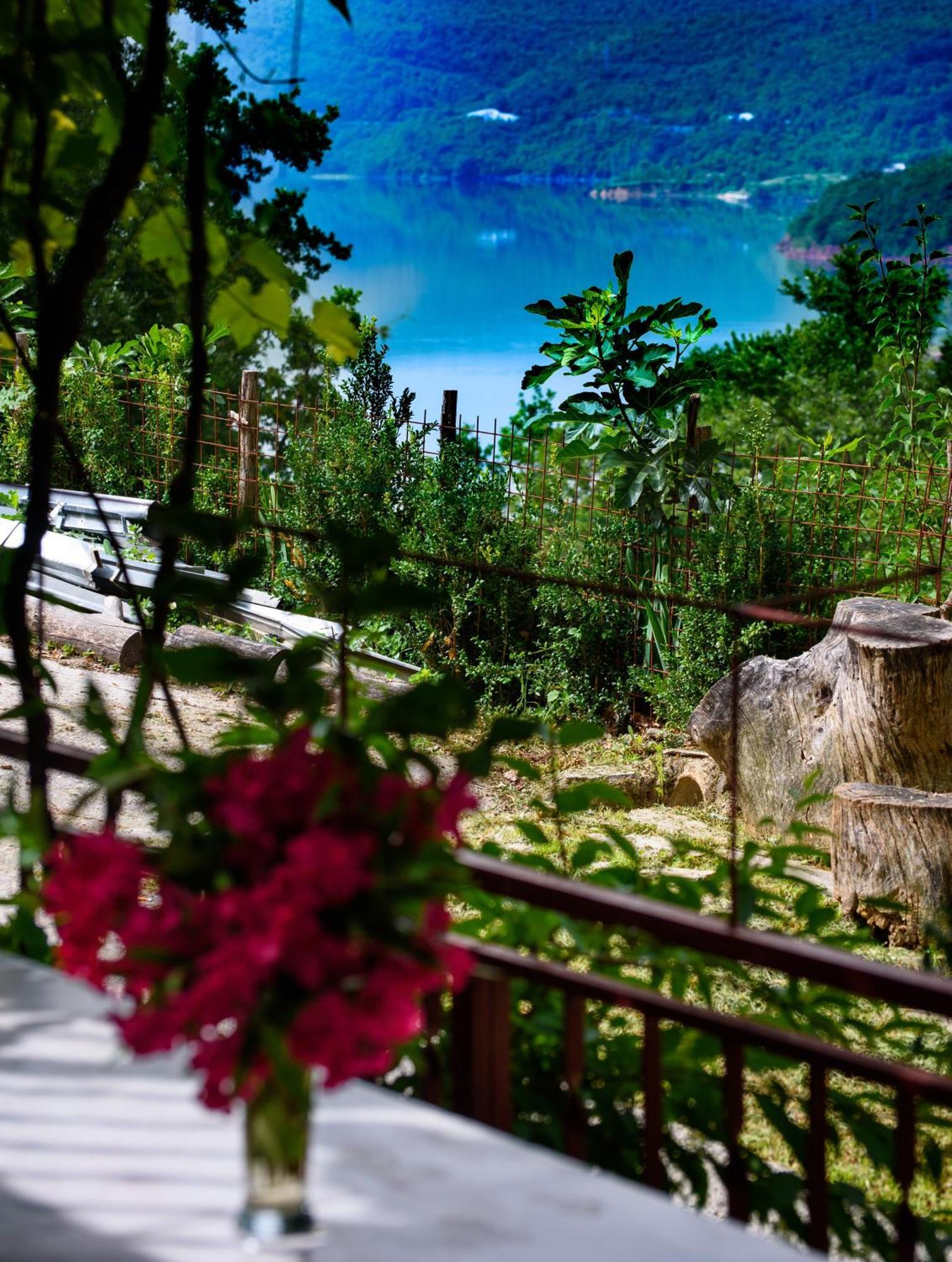 Apartments Cvitini Dvori Garjak Vrlika 외부 사진